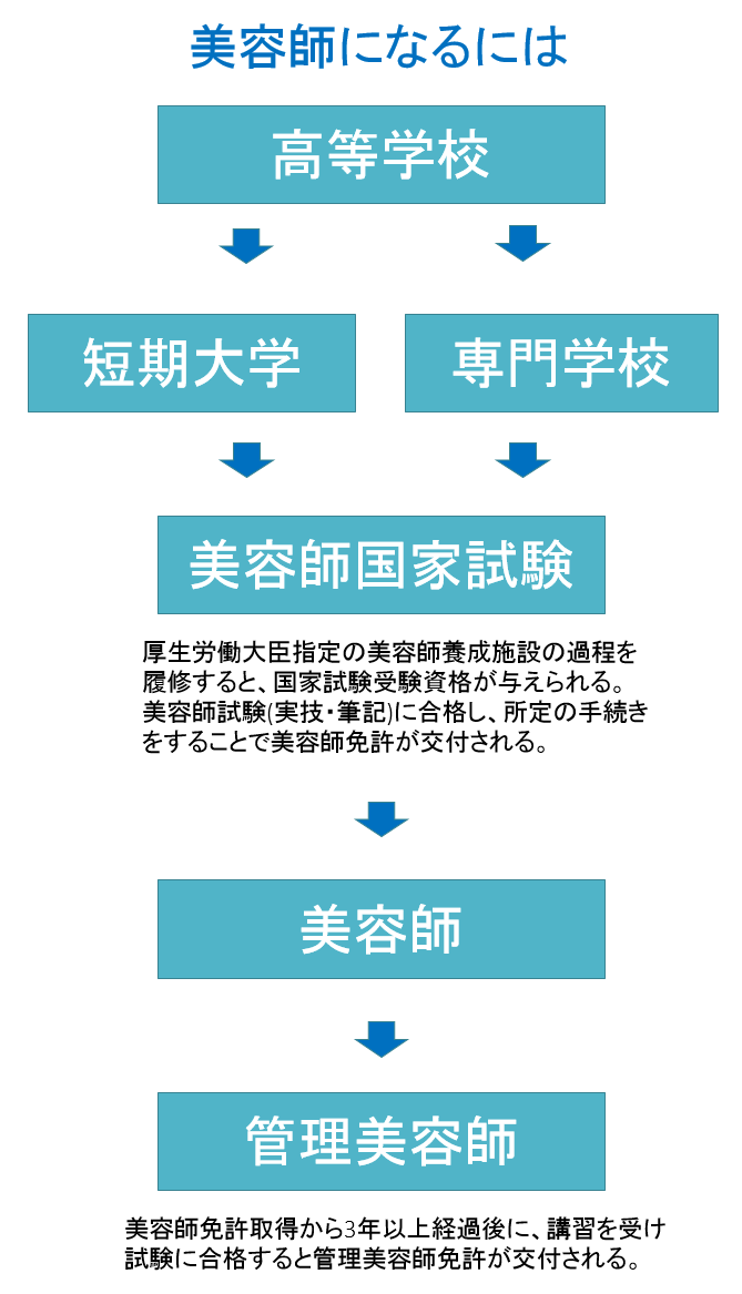 美容師になるには 美容師免許取得からヘアスタイリストになるまで